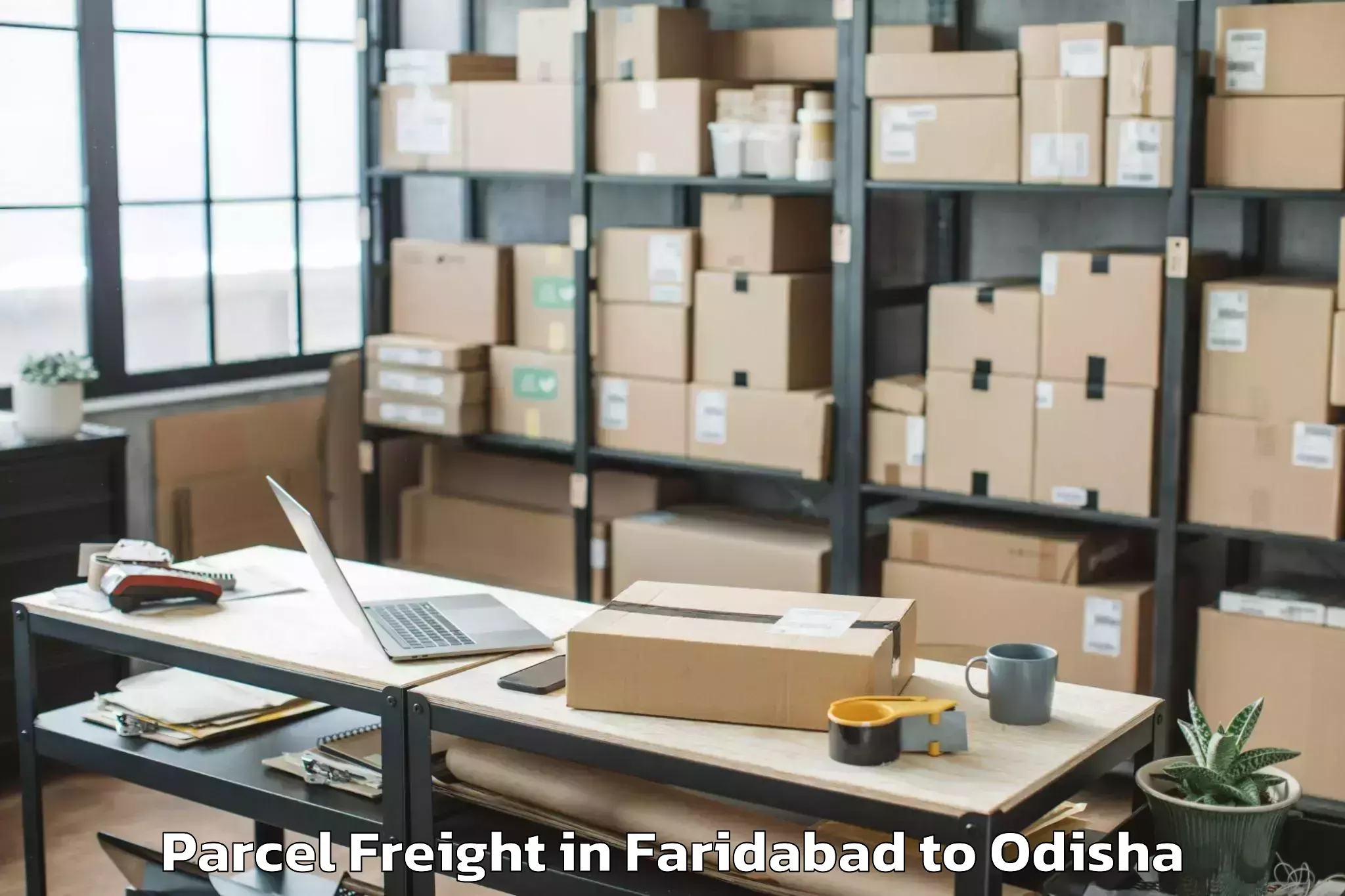 Book Your Faridabad to Malakanagiri Parcel Freight Today